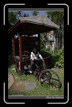 IMG_0070 * 600 x 966 * (283KB)