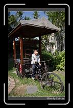 IMG_0071 * 600 x 966 * (291KB)