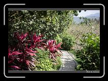 IMG_0079 * 900 x 644 * (296KB)