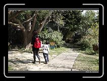 IMG_0088 * 900 x 644 * (299KB)