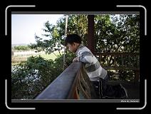 IMG_0091 * 900 x 644 * (300KB)