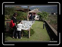 IMG_0127 * 900 x 644 * (283KB)