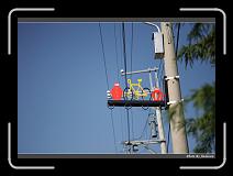 IMG_0173 * 900 x 644 * (233KB)