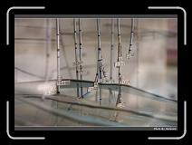 IMG_0181 * 900 x 644 * (263KB)