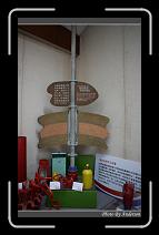 IMG_0192 * 600 x 966 * (296KB)