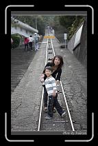IMG_0200 * 600 x 966 * (299KB)