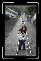 IMG_0203 * 600 x 966 * (300KB)