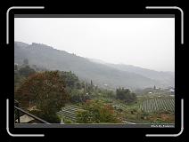 IMG_0267 * 900 x 644 * (280KB)