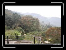 IMG_0268 * 900 x 644 * (299KB)