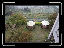 IMG_0269 * 900 x 644 * (298KB)