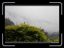 IMG_0298 * 900 x 644 * (283KB)