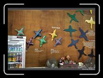 IMG_0306 * 900 x 644 * (280KB)