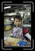 IMG_0318 * 600 x 966 * (280KB)