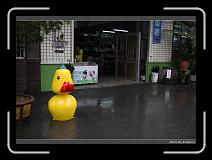 IMG_0383 * 900 x 644 * (293KB)
