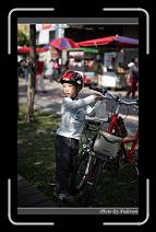 IMG_0404 * 600 x 966 * (290KB)