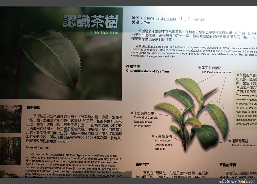 下一張幻燈片