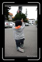 IMG_0452 * 600 x 966 * (279KB)