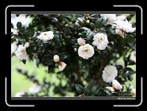 IMG_0464 * 900 x 644 * (280KB)