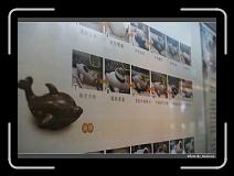 IMG_0471 * 900 x 644 * (273KB)