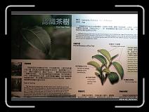 IMG_0476 * 900 x 644 * (274KB)
