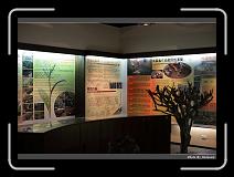 IMG_0481 * 900 x 644 * (259KB)