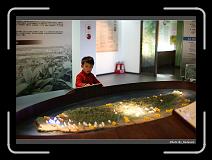 IMG_0494 * 900 x 644 * (288KB)