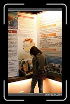 IMG_0499 * 600 x 966 * (288KB)