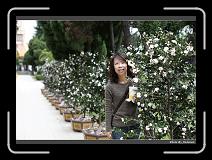IMG_0538 * 900 x 644 * (289KB)