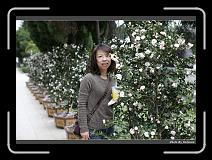 IMG_0540 * 900 x 644 * (289KB)
