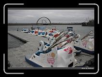 IMG_0561 * 900 x 644 * (297KB)