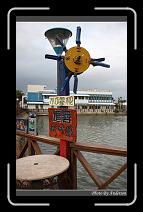 IMG_0594 * 600 x 966 * (262KB)