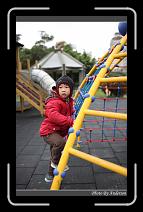 IMG_0660 * 600 x 966 * (276KB)