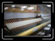 IMG_0842 * 900 x 644 * (293KB)