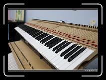 IMG_0845 * 900 x 644 * (288KB)