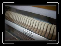 IMG_0852 * 900 x 644 * (229KB)