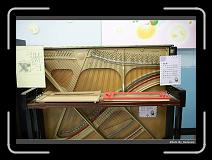 IMG_0858 * 900 x 644 * (287KB)