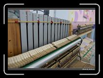 IMG_0865 * 900 x 644 * (290KB)