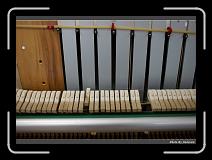 IMG_0875 * 900 x 644 * (276KB)
