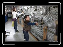 IMG_0913 * 900 x 644 * (279KB)