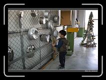 IMG_0916 * 900 x 644 * (291KB)