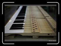 IMG_0951 * 900 x 644 * (221KB)