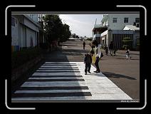 IMG_0955 * 900 x 644 * (297KB)