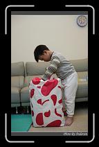 IMG_1020 * 600 x 966 * (272KB)