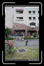 IMG_1142 * 600 x 966 * (288KB)