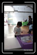 IMG_1330 * 600 x 966 * (233KB)