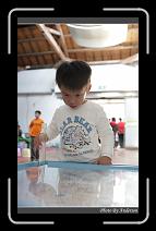 IMG_1340 * 600 x 966 * (241KB)