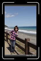 IMG_1391 * 600 x 966 * (279KB)
