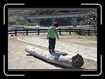 IMG_1392 * 900 x 644 * (298KB)