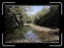 IMG_1577 * 900 x 644 * (287KB)