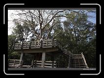 IMG_1606 * 900 x 644 * (291KB)